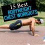 bodyweight chest workout